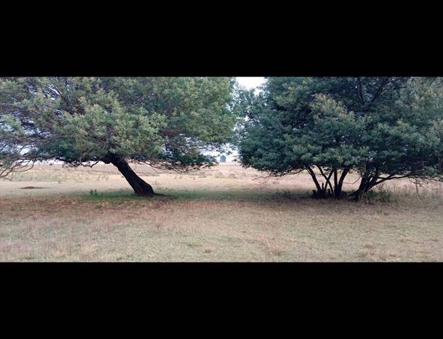 3 BEDROOM HOUSE FOR SALE IN BENONI AH